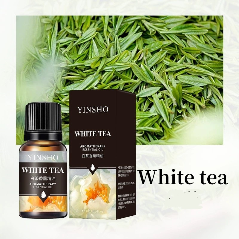 10ml YINSHO oil for DIY purpos - Fragrance Oil 10Ml ulasan dan harga
