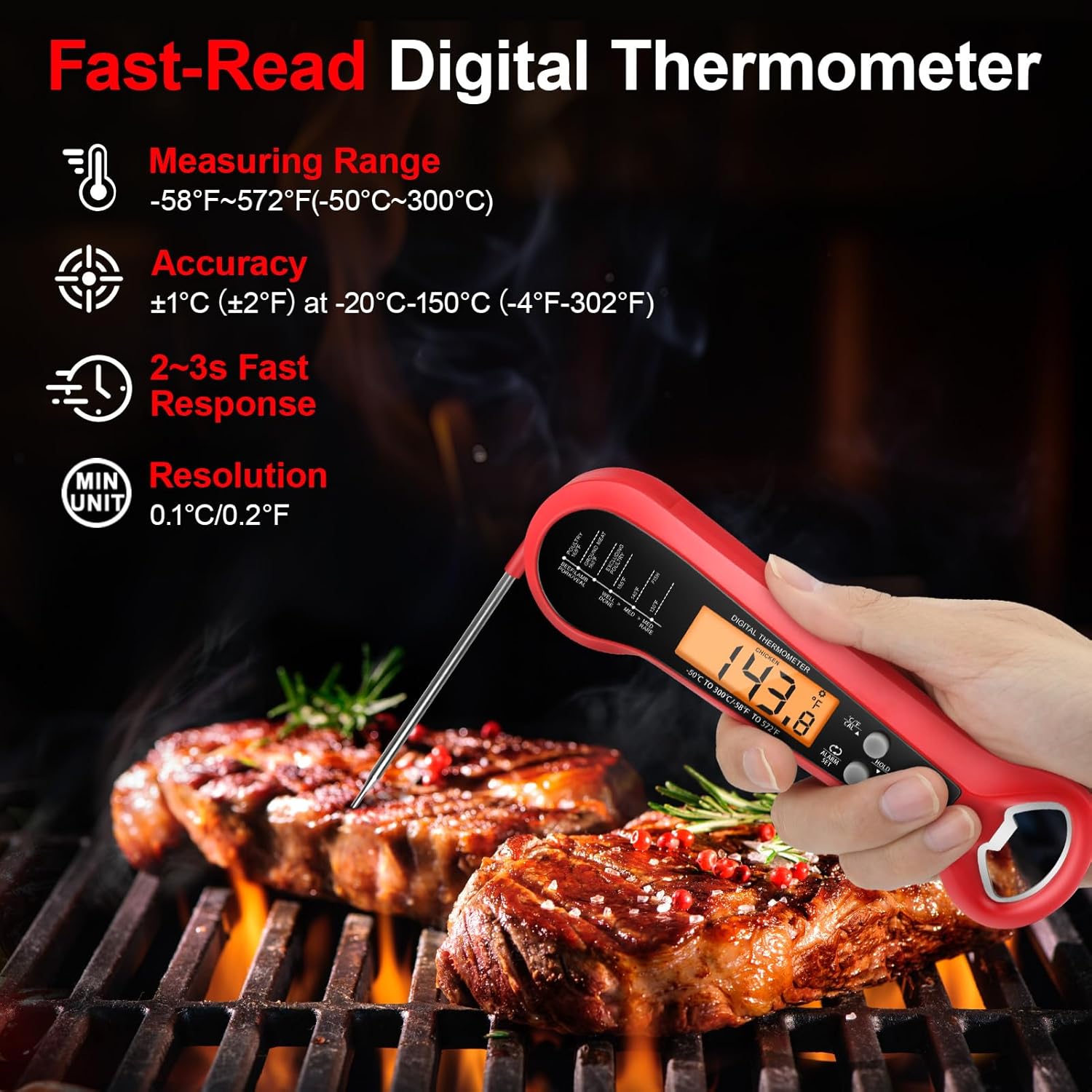 Professional Digital Meat Ther - Digital Thermometer Probe ulasan dan harga